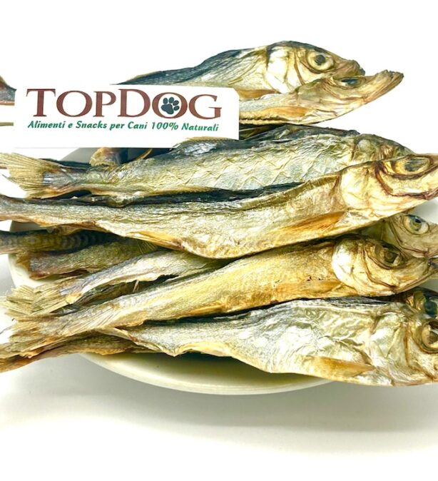Masticativi Naturali per Cani
